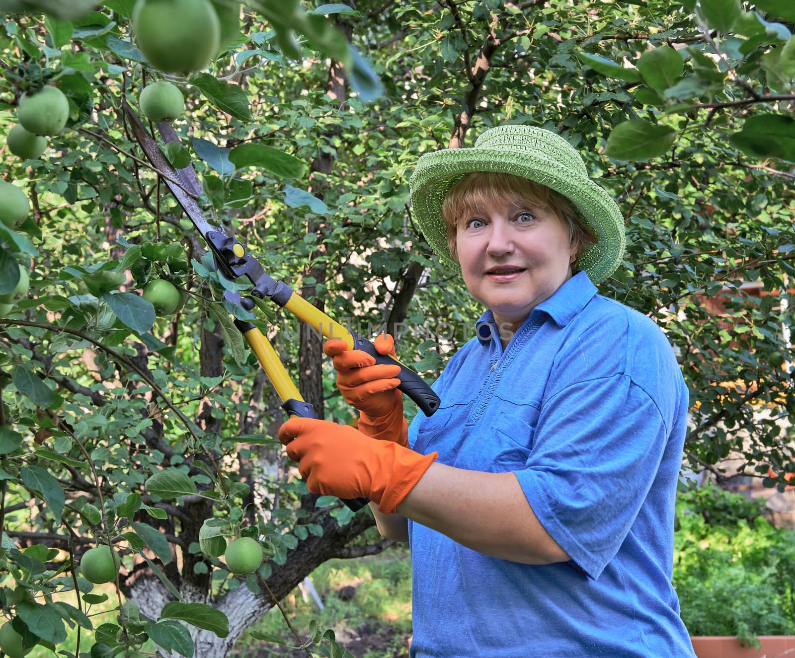 Senior Woman Works In Garden by Horen