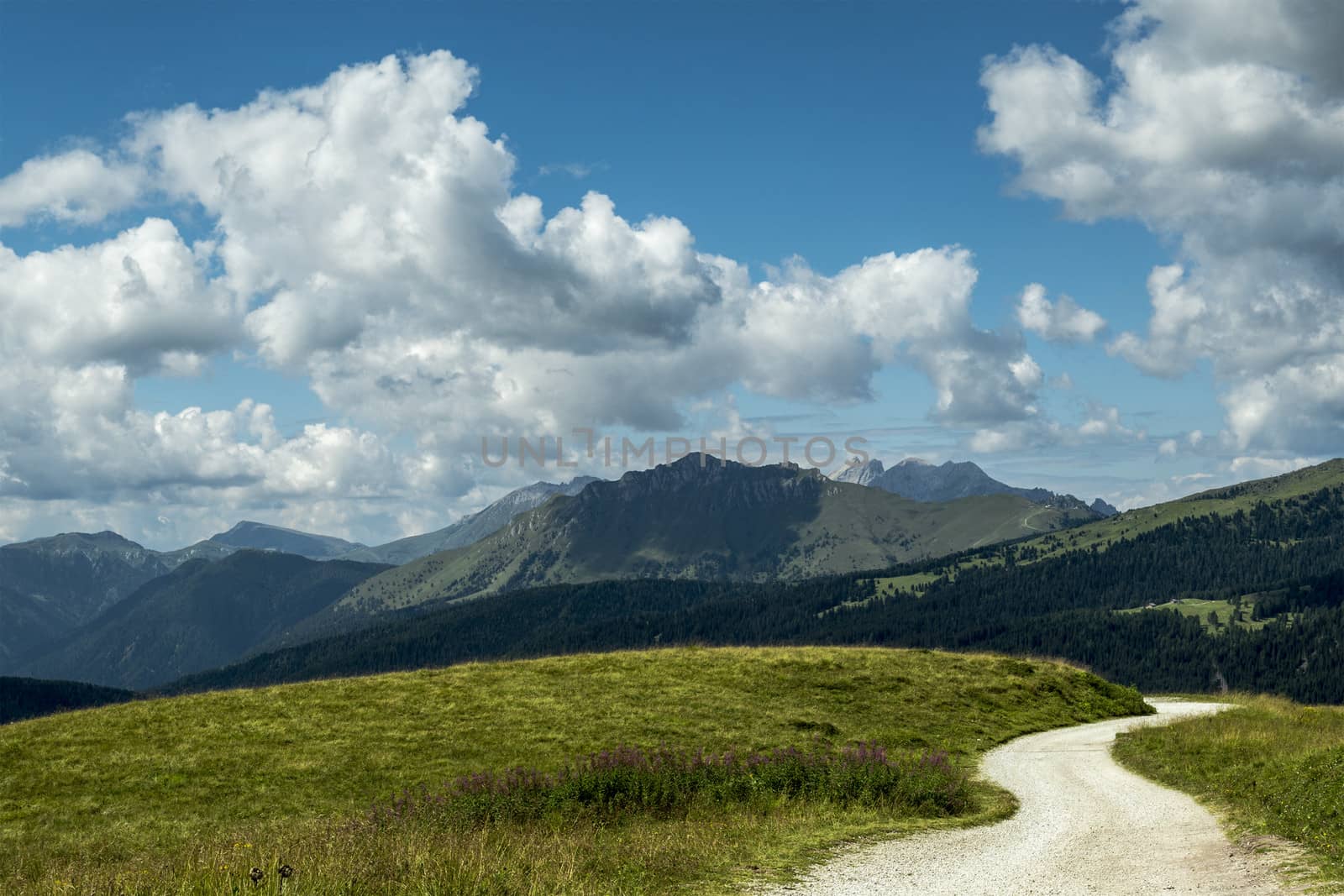 Dolomiti, panorama from Passo Rolle by Mdc1970