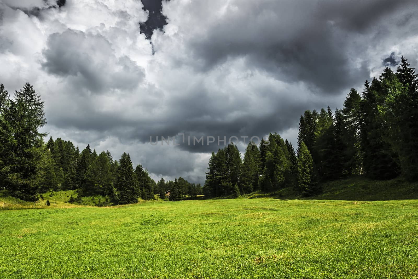 Storm clouds and meadow near Karerpass, Dolomites