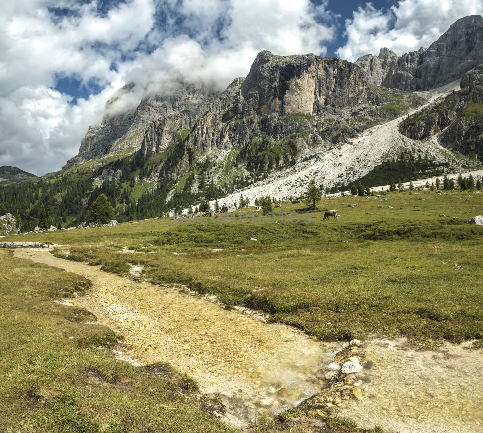 Dolomiti, Val Venegia panorama with views of Mount Mulaz