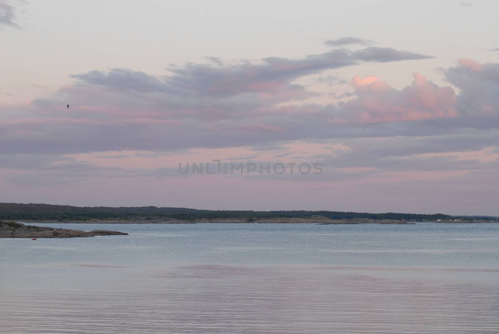 Landscape in evening sun