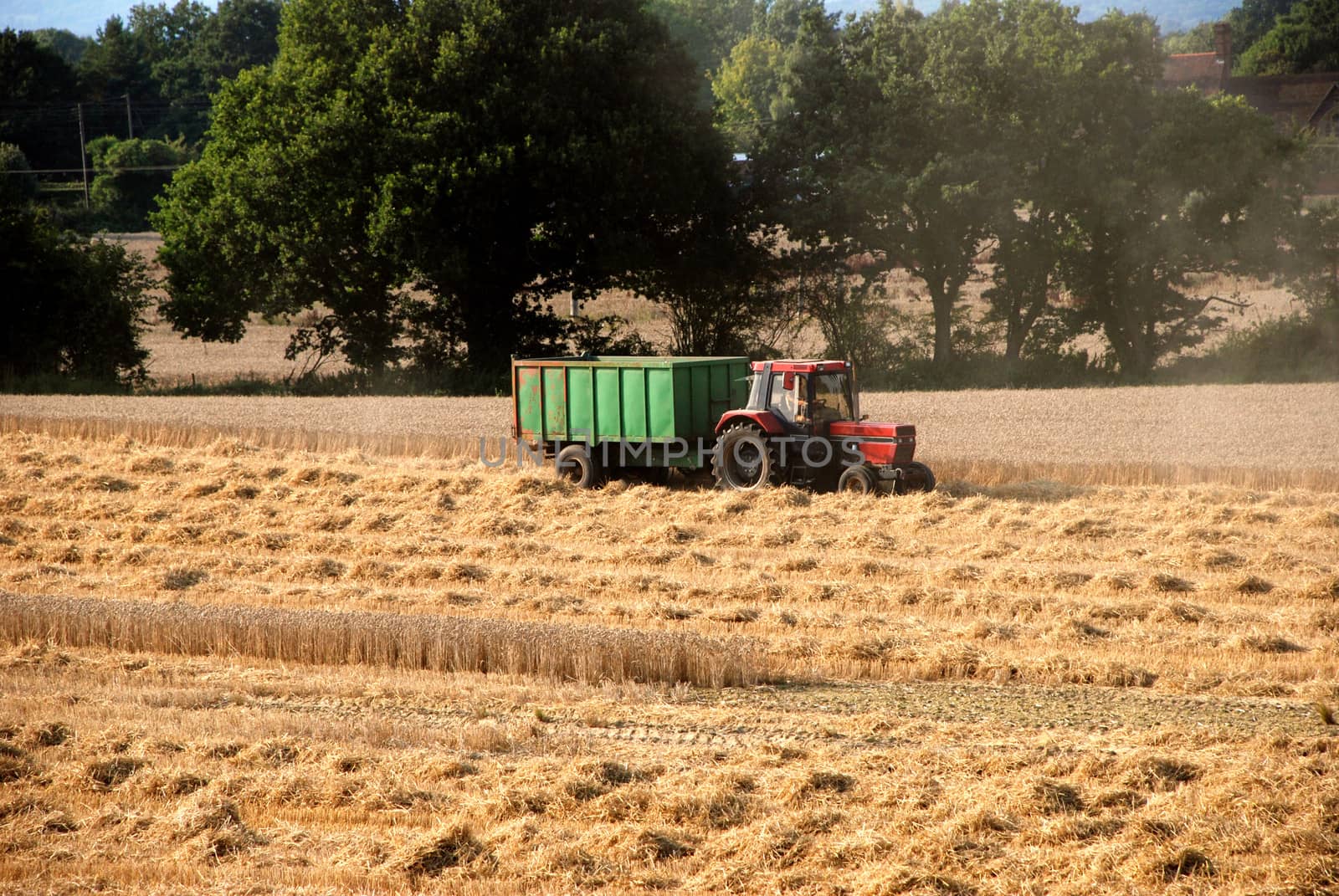 Red tractor pulling green trailer in a harvested field