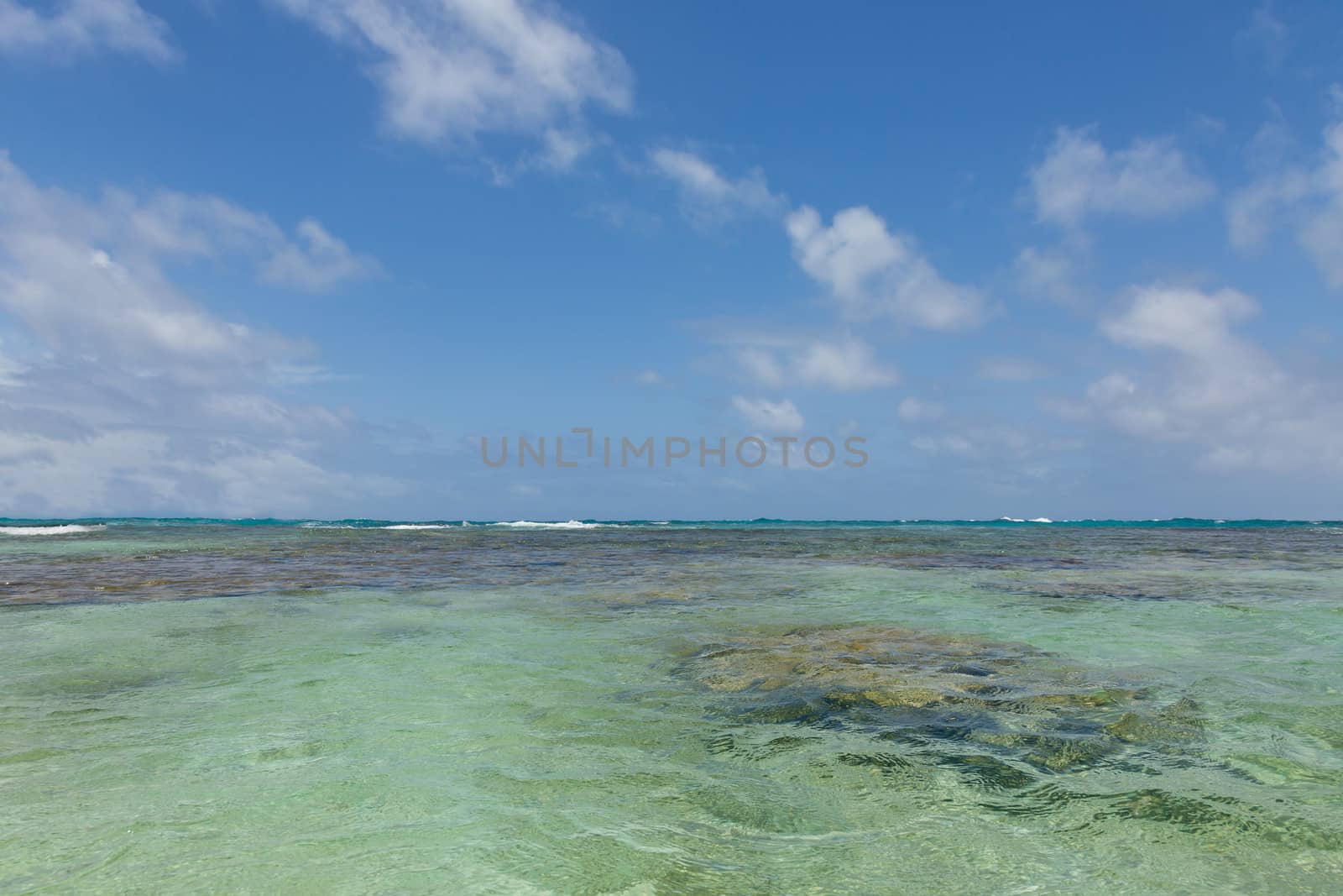 Beautiful Calm Caribbean Sean from Swimmer's Perspective by scheriton