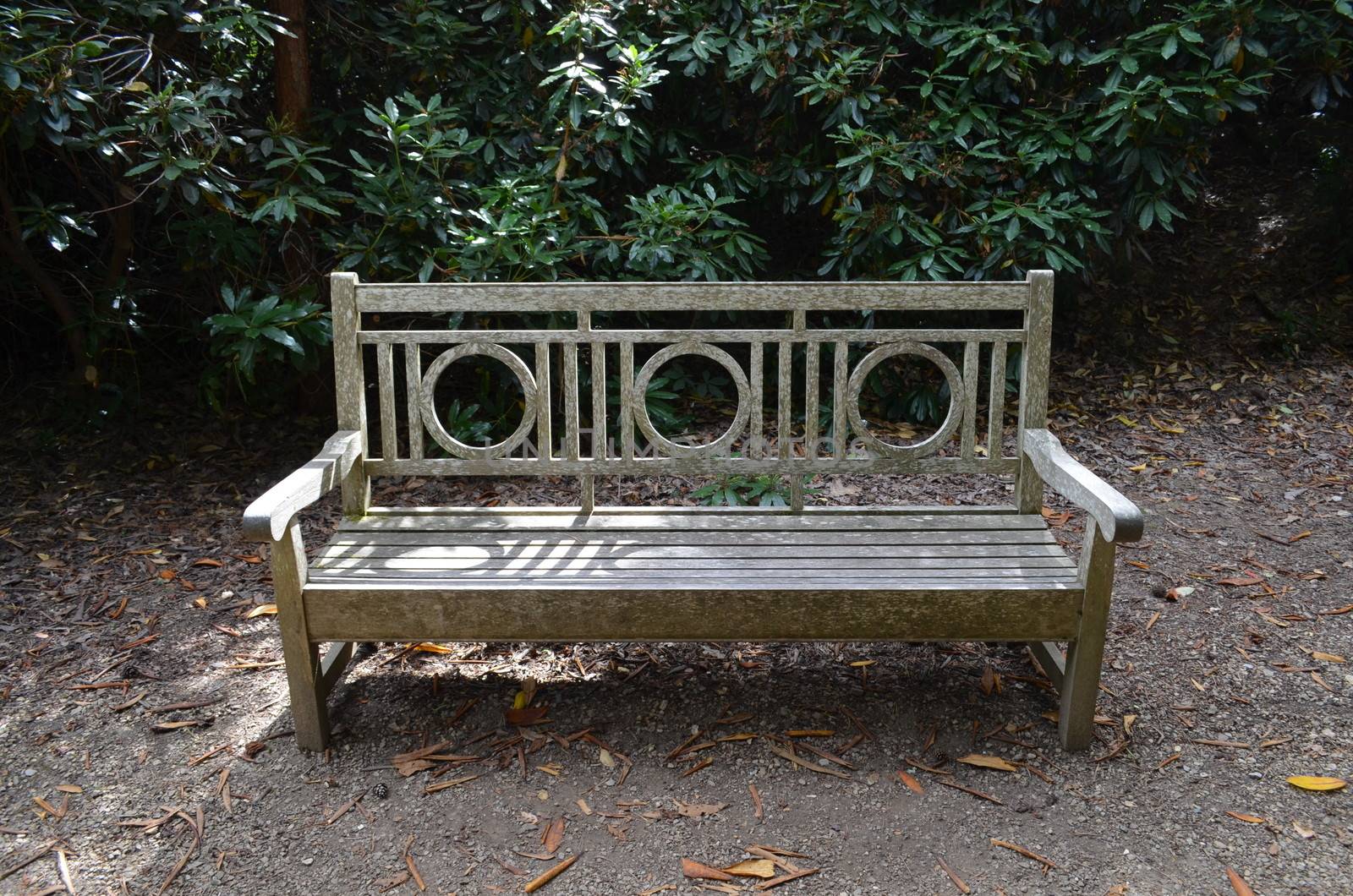 A wooden bench set in a parkland setting.