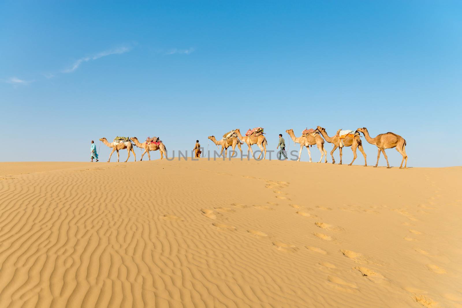 Caravan in sand desert dunes by iryna_rasko