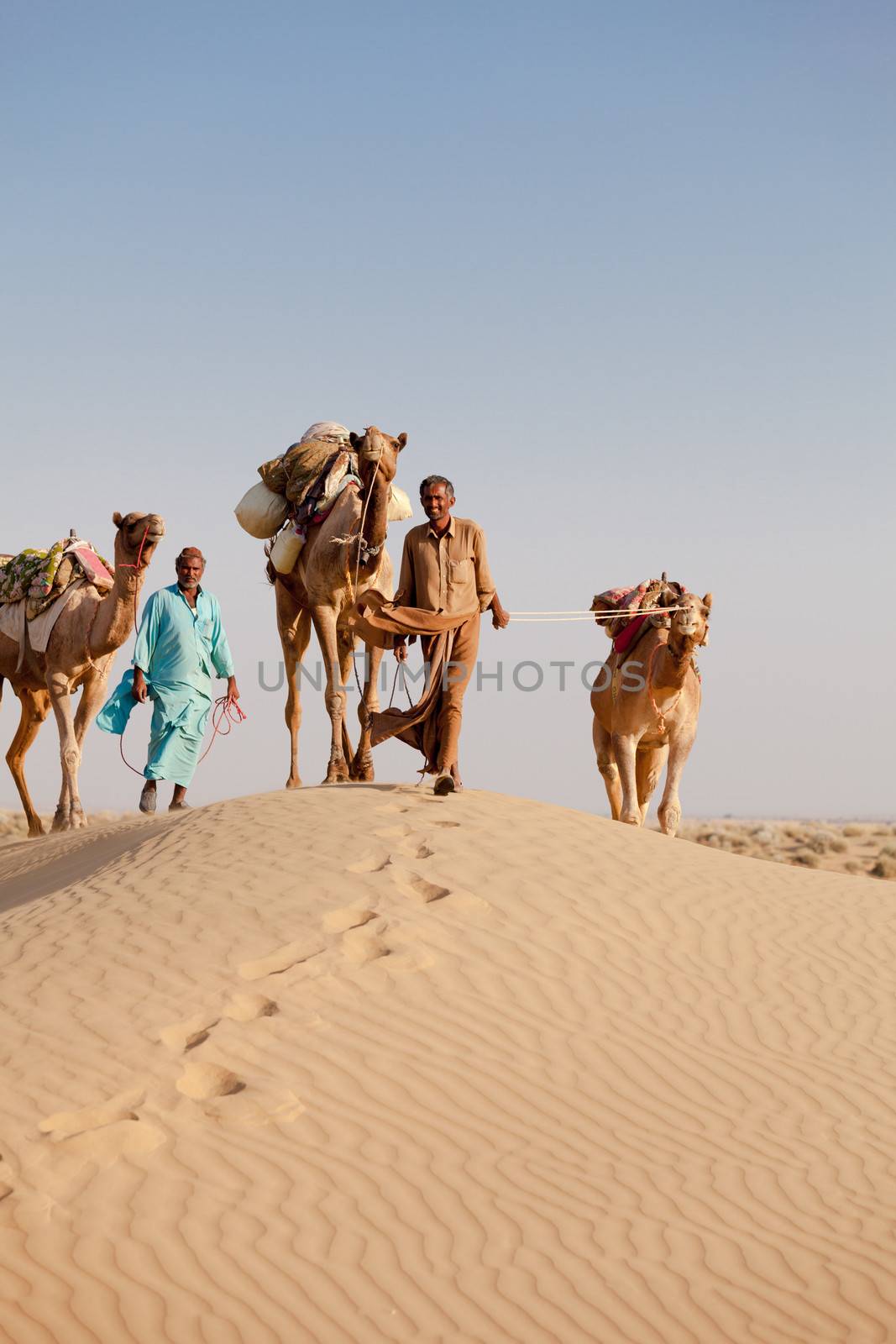 Caravan with bedouins and camels on gold dunes in desert at sunset under clean sky