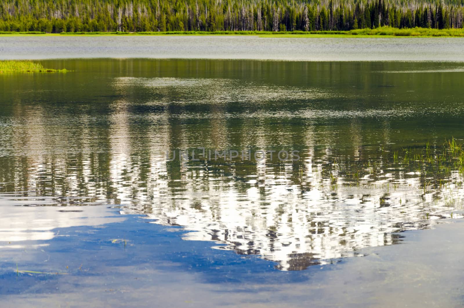 Mount Bachelor in Oregon being reflected in a lake