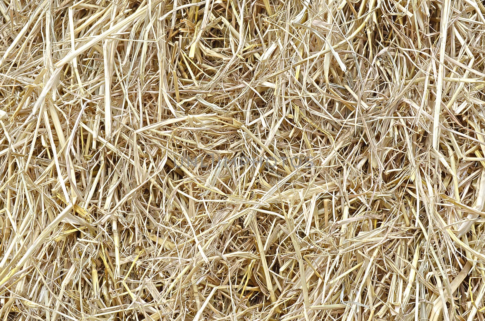 Plie of rice Straw by kobfujar