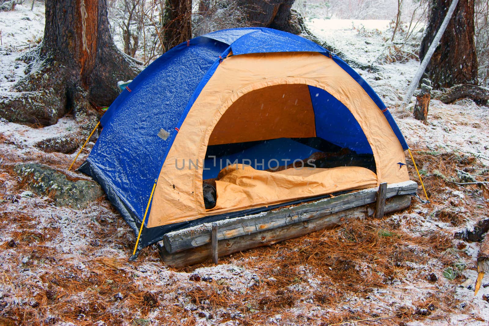 Tourist tent in snow wood in winter