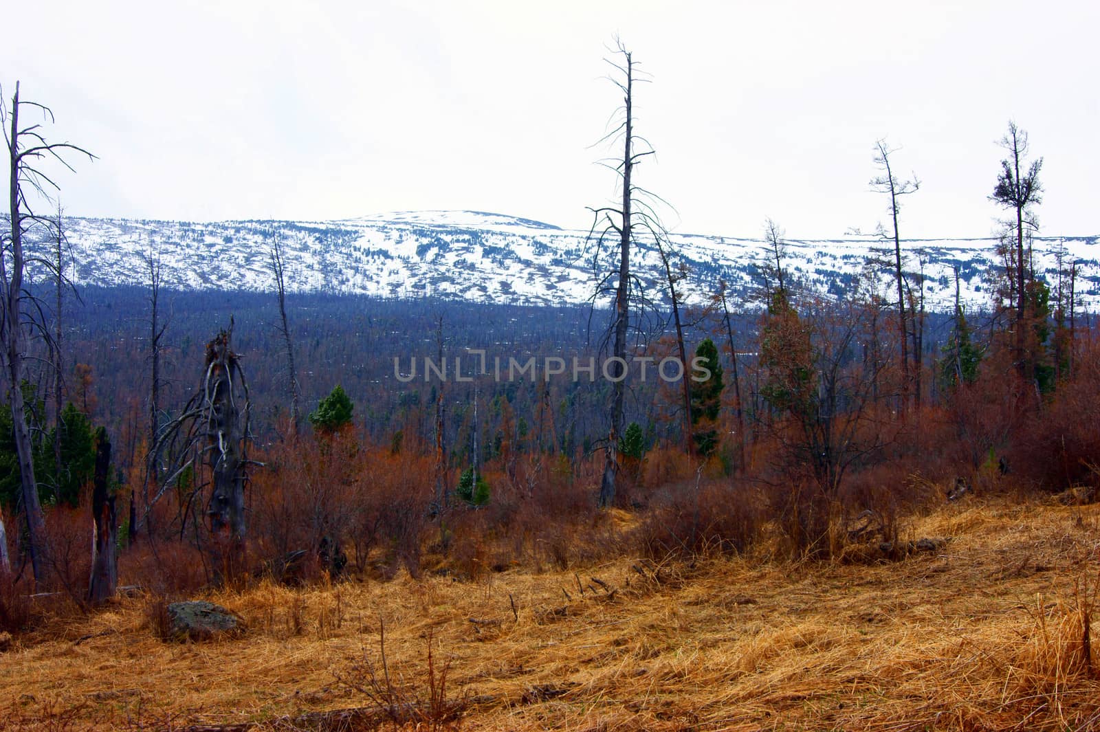 Mountain landscape by cobol1964