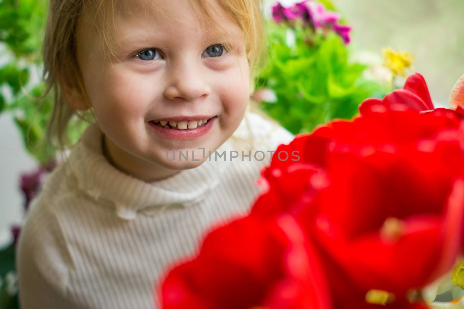 Little girl congratulates and gives tulips
