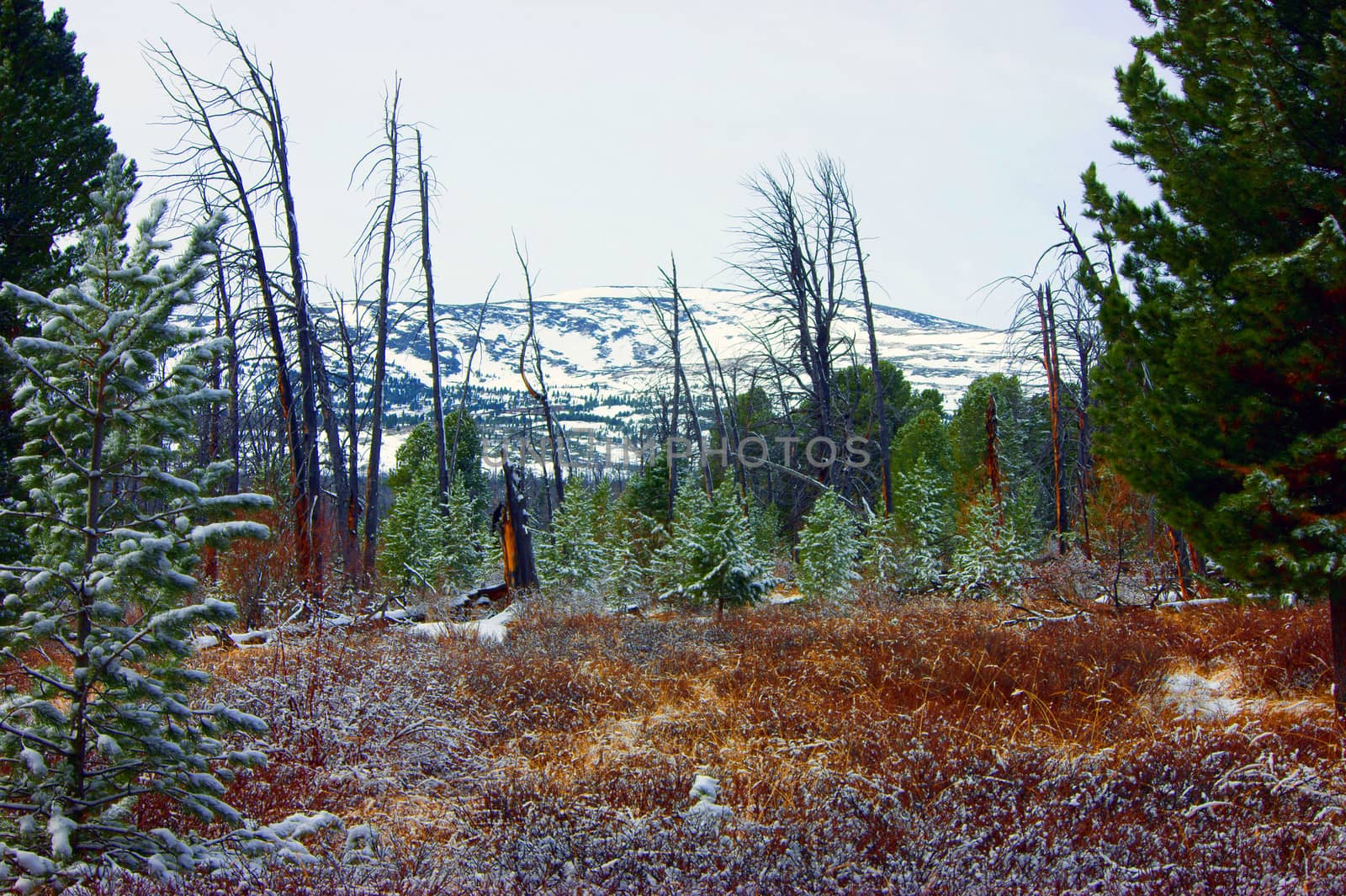 Early springtime in mountain by cobol1964