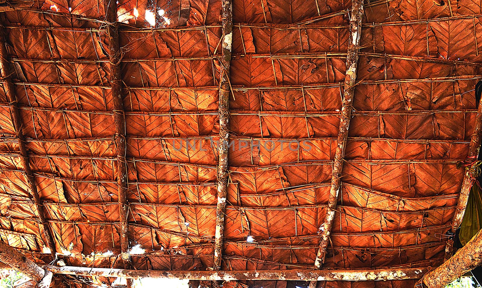 Tile Roof made from Teak Leaf by kobfujar