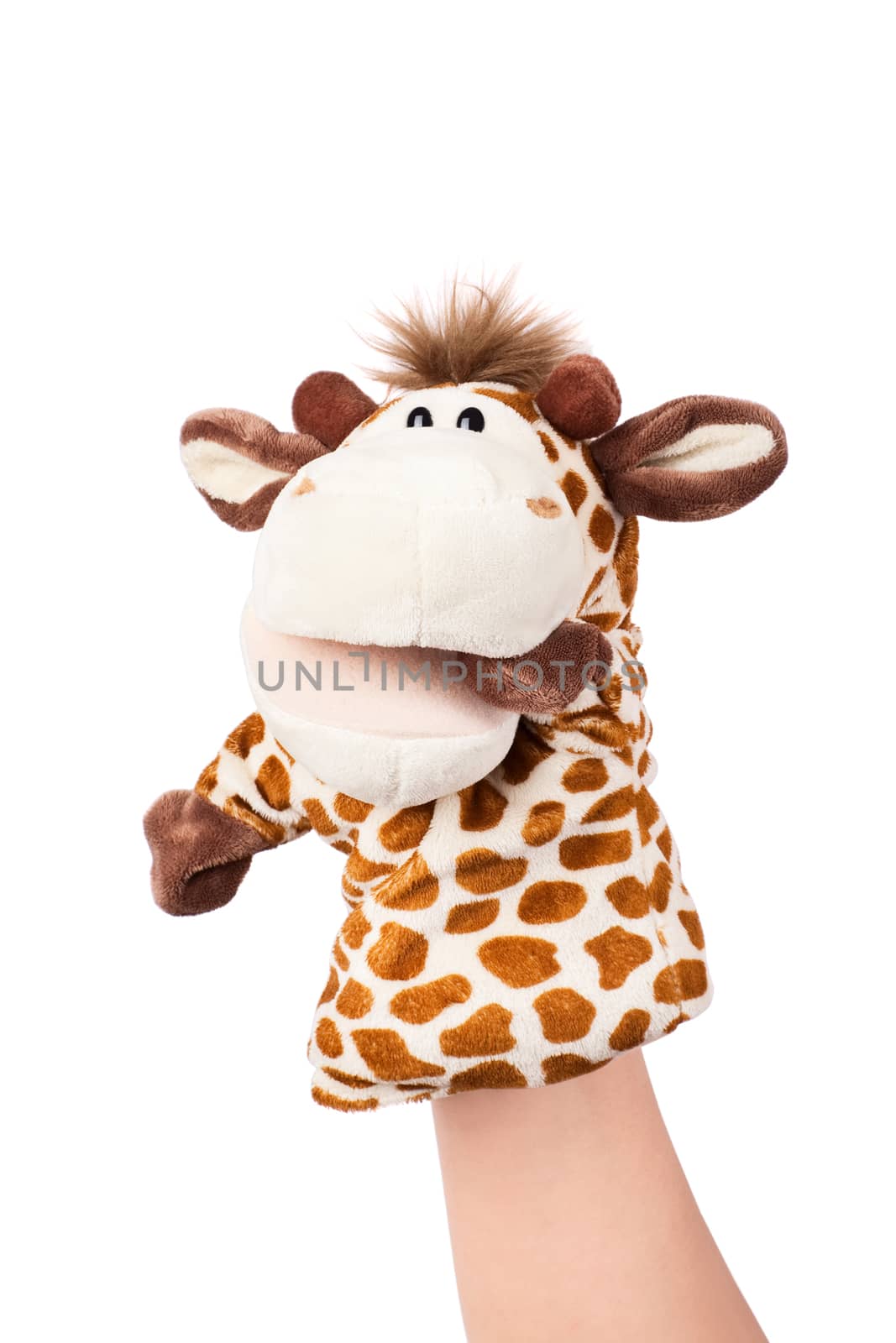 Hand puppet of giraffe isolated on white, confused emotion. 