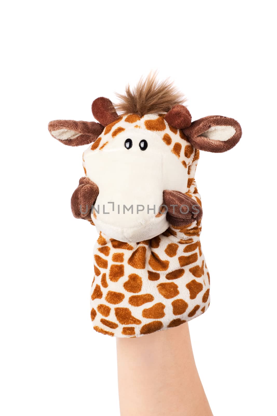 Hand puppet of giraffe isolated on white, shy emotion. 