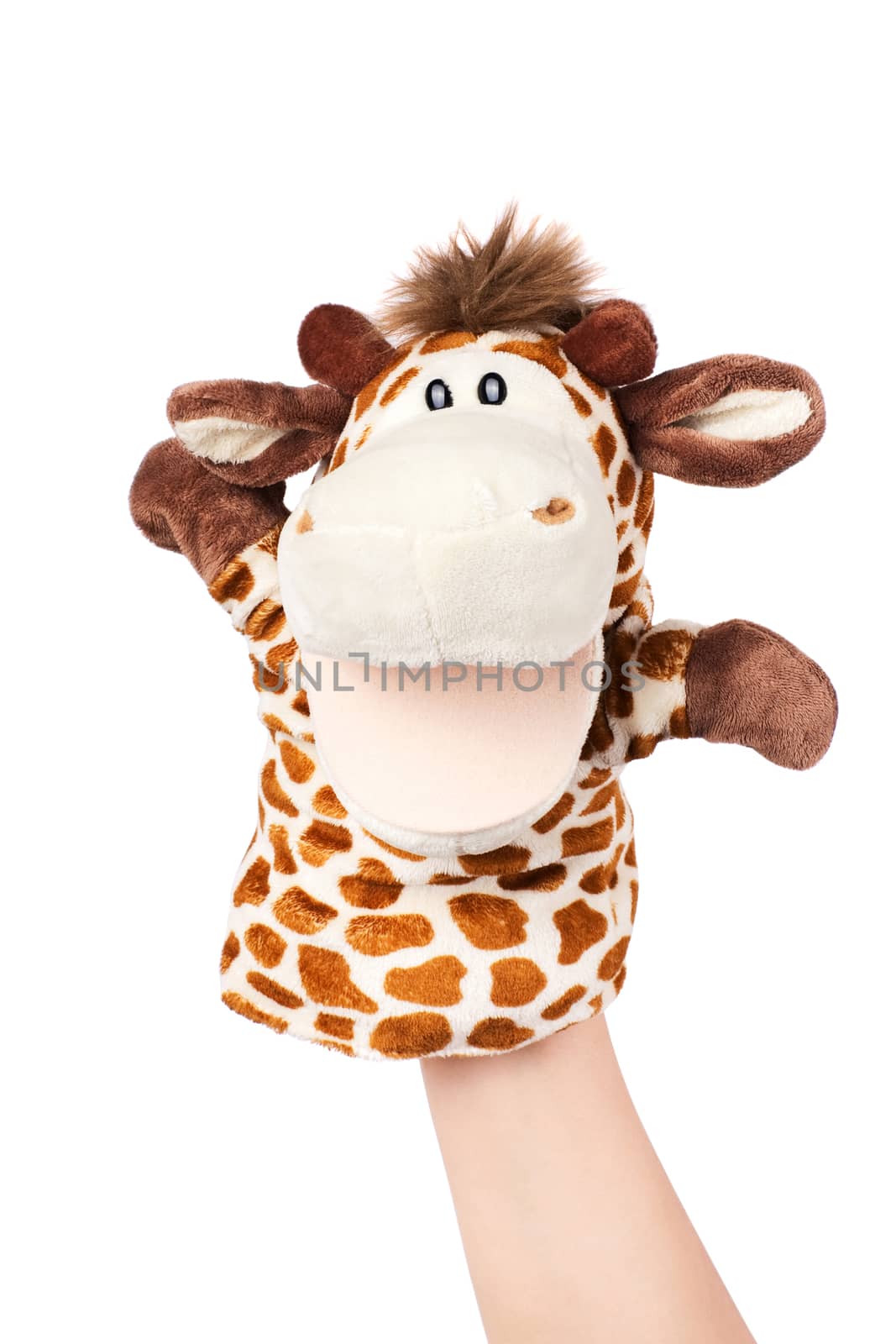 Hand puppet of giraffe, which is very happy. Isolated on white, . 
