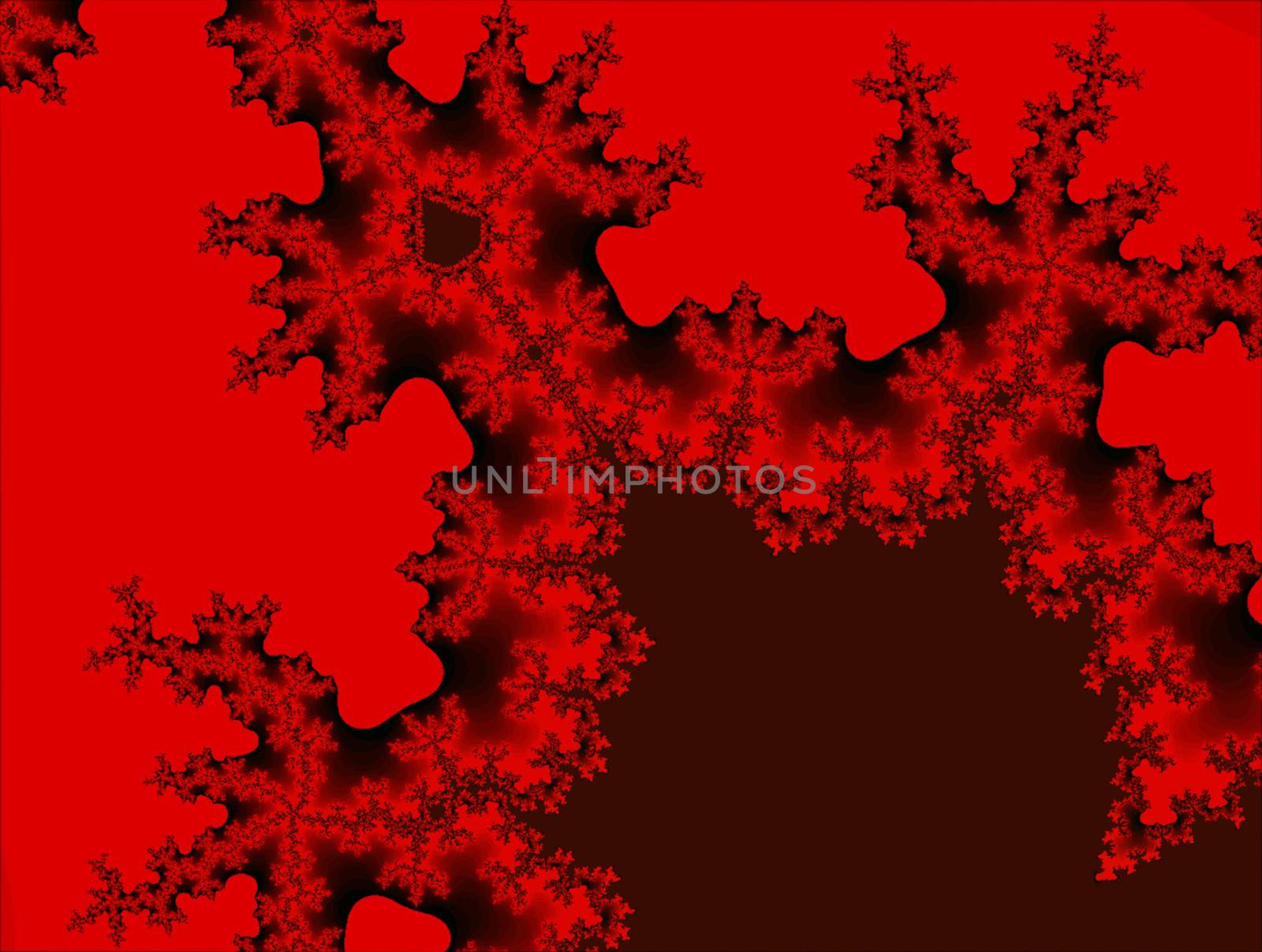 Digital Illustration of a Fractal