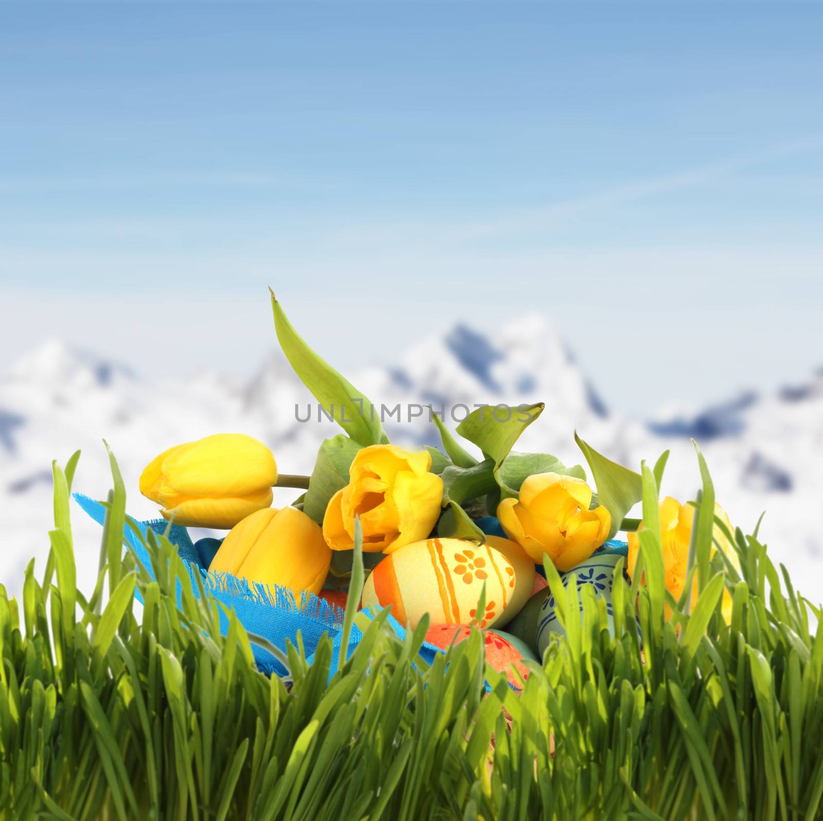 Easter basket with eggs and tulips in spring mountains by destillat