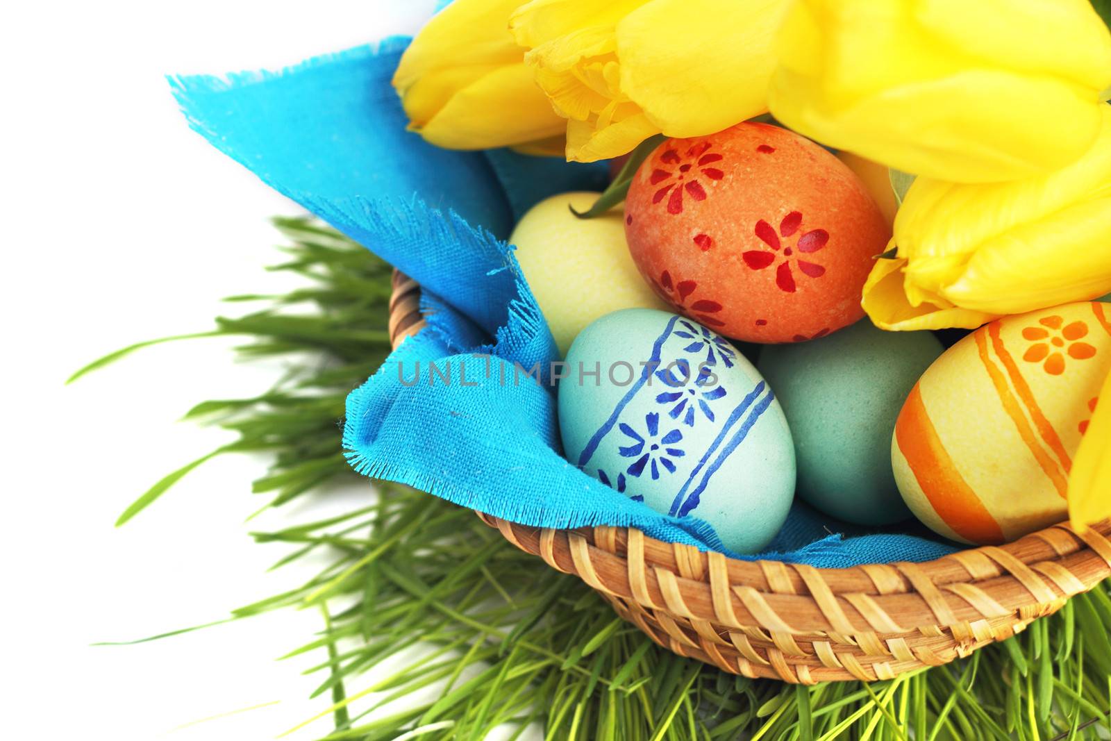 Basket of colored easter eggs and tulips on white background