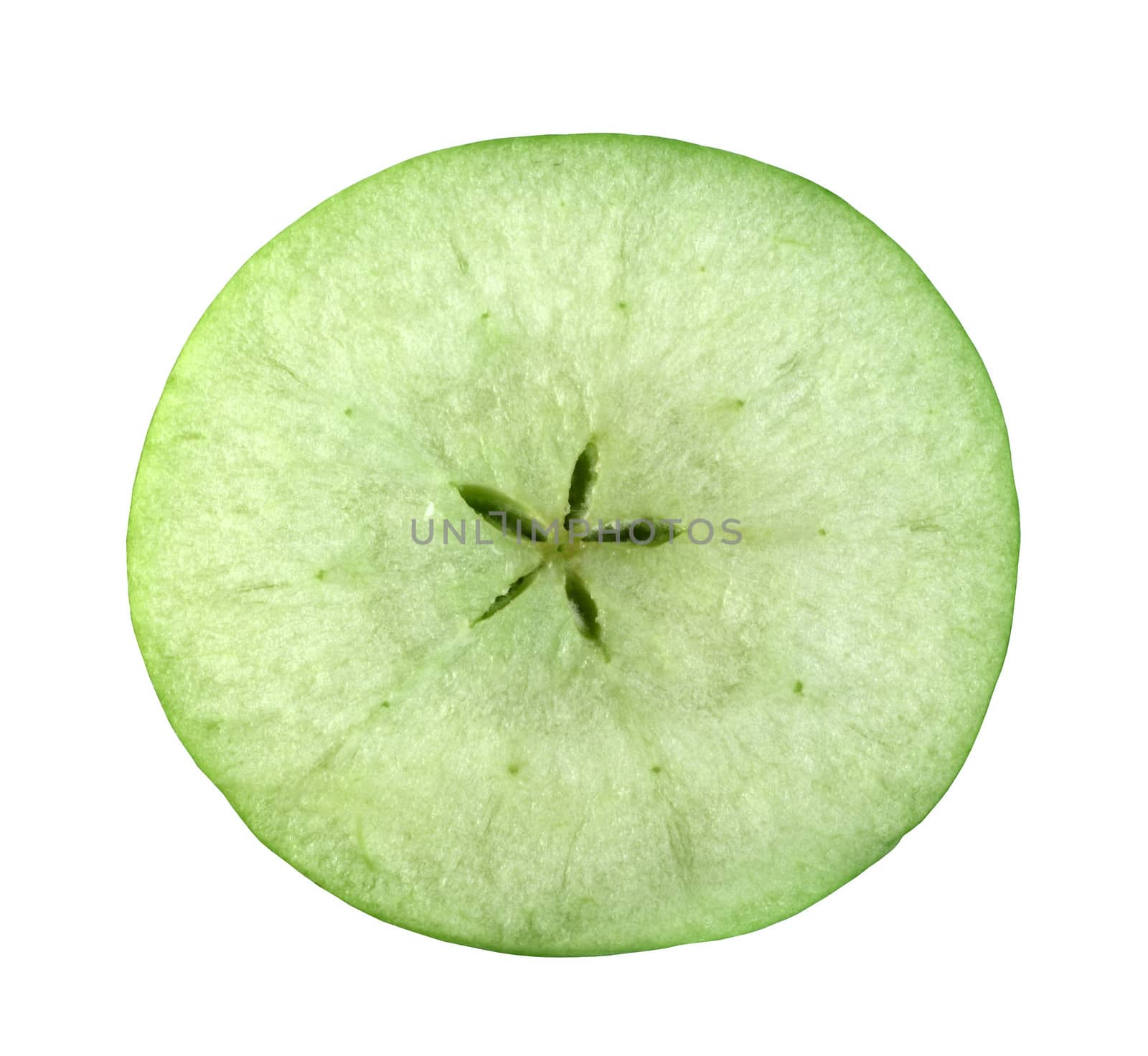 Slice cross section of green apple by destillat