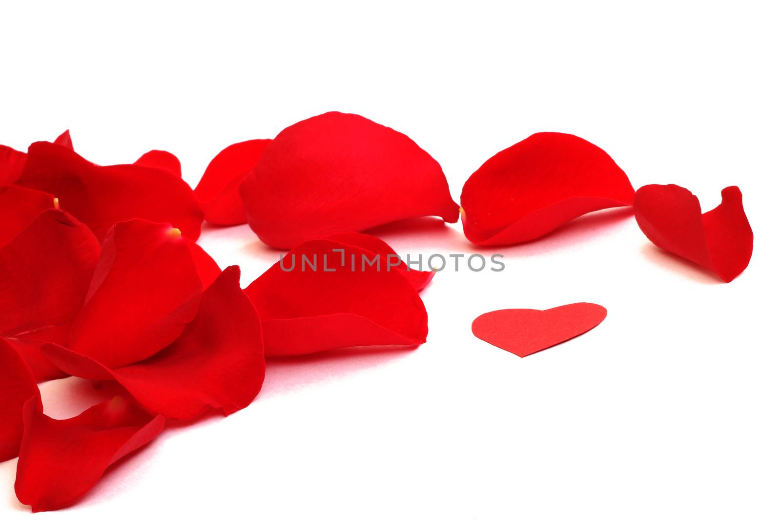 Rose petals and small paper heart for Valentines Day