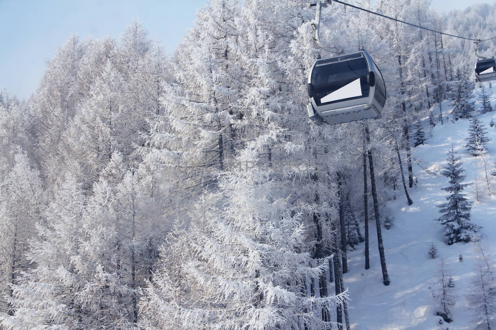 Chair lift between beautiful firs in winter mountains by destillat