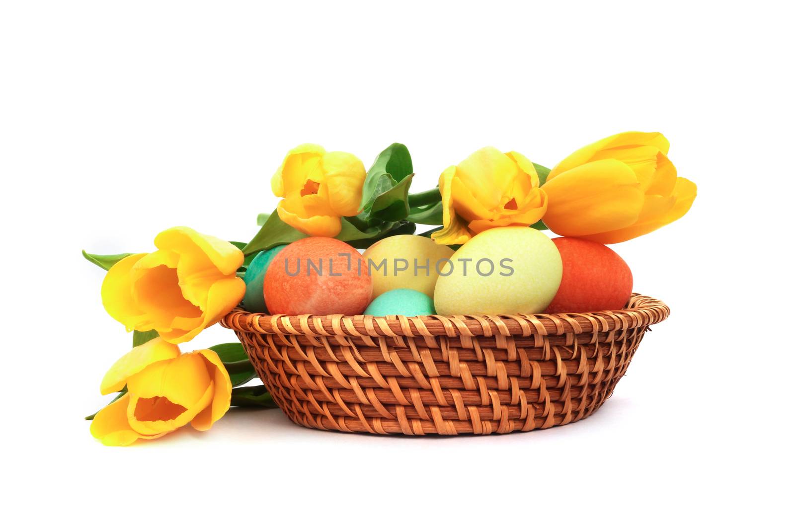 Colorful easter eggs in basket and tulips isolated on white