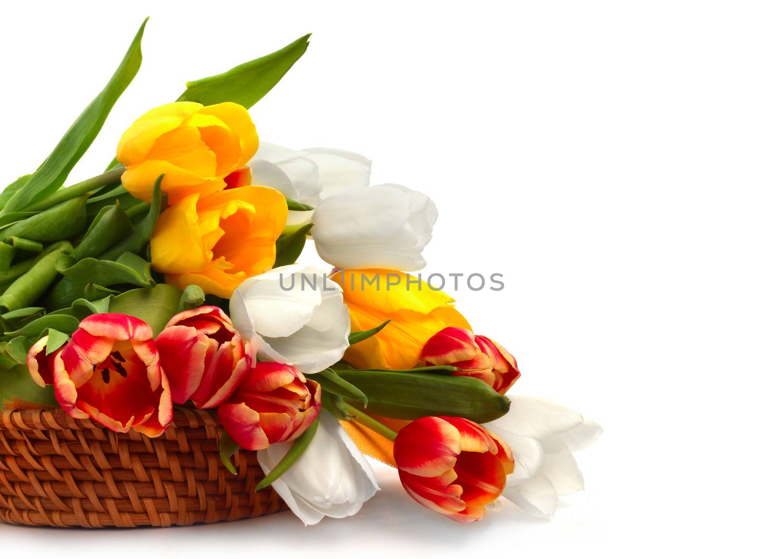 Colorful tulip bouquet in basket isolated on white