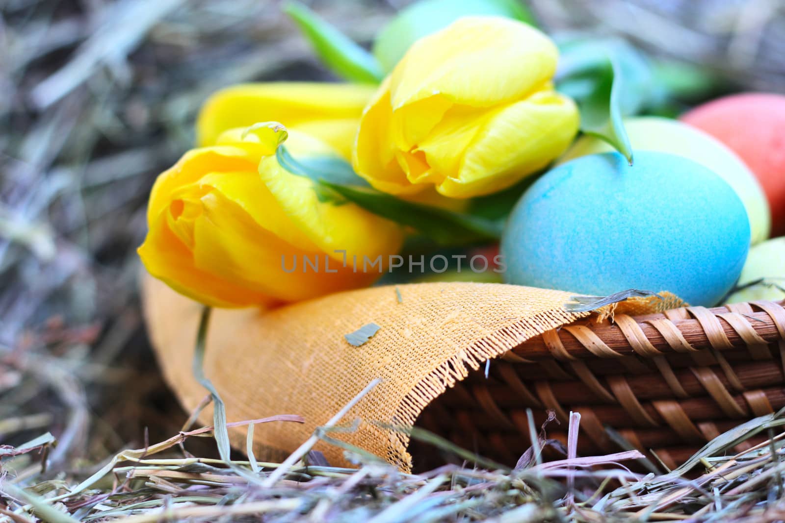 Basket of colored easter eggs and tulips on hay