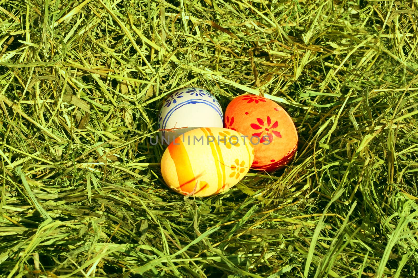 Three colored Easter eggs on hay at sunny day