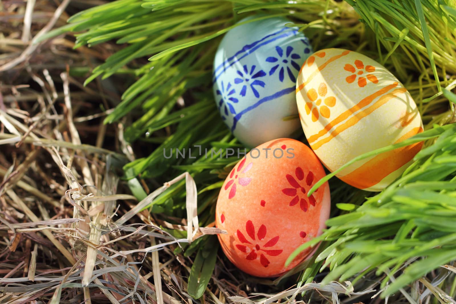 Easter eggs on green grass and hay by destillat