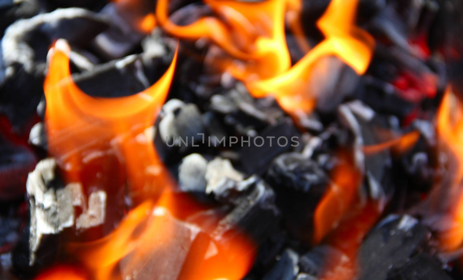 Beautiful fire on coal macro closeup