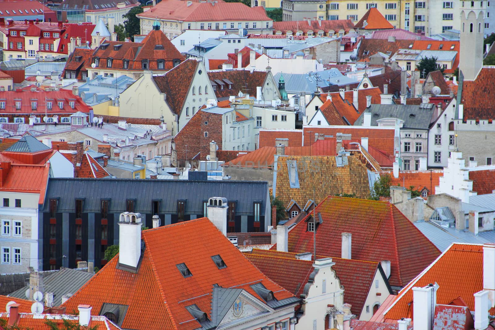 Panorama of old Tallinn roofs by destillat