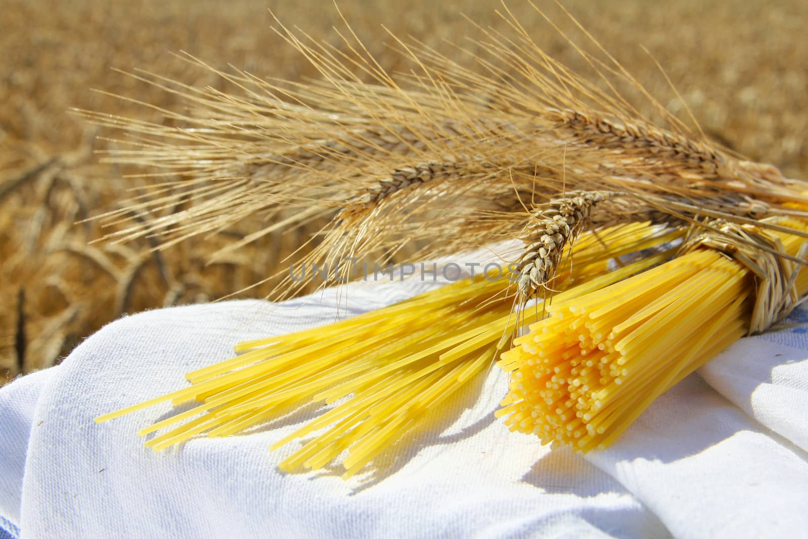 Spaghetti and wheat outdoors by destillat