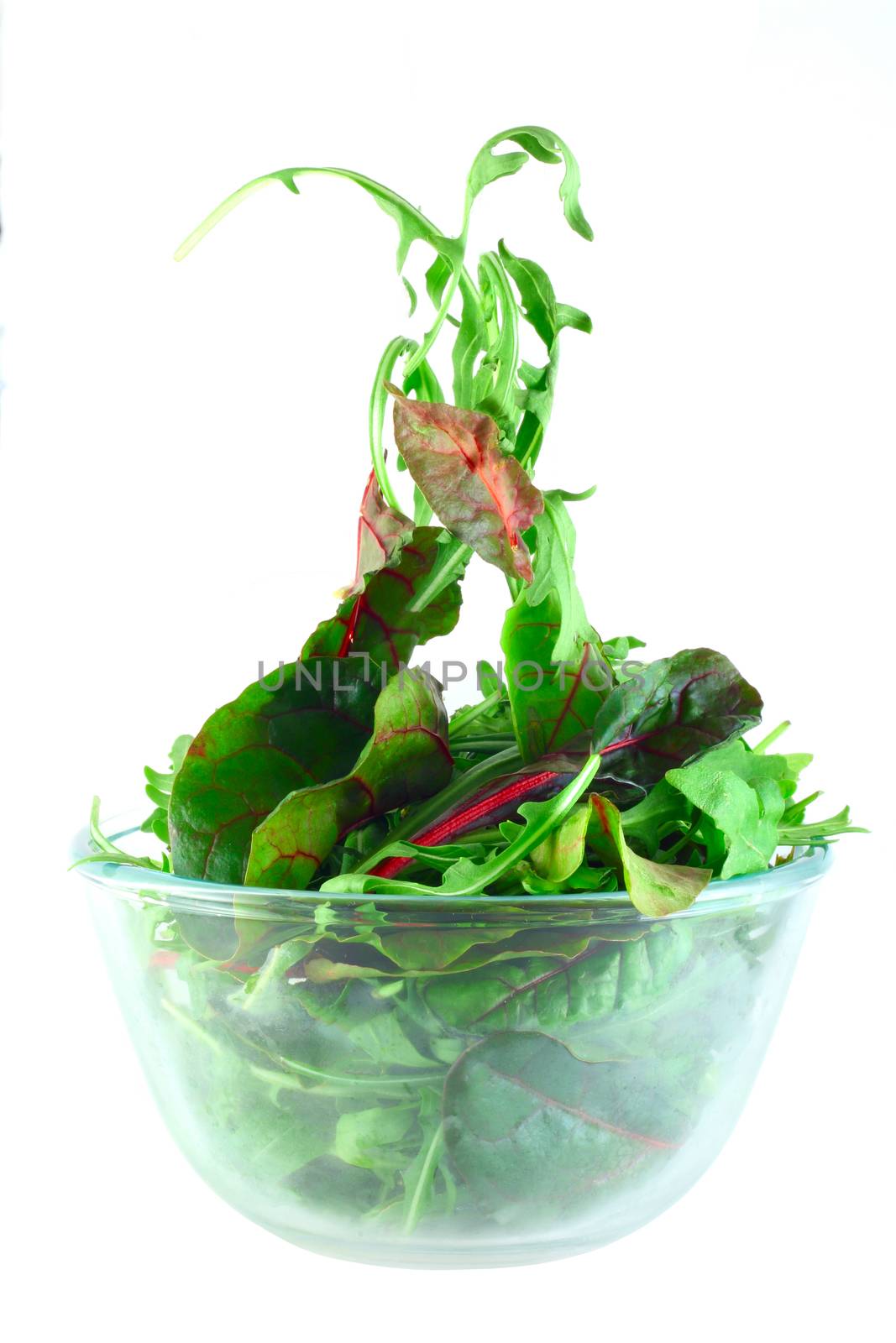 Rucola and Chard in bowl flying salad lightness concept