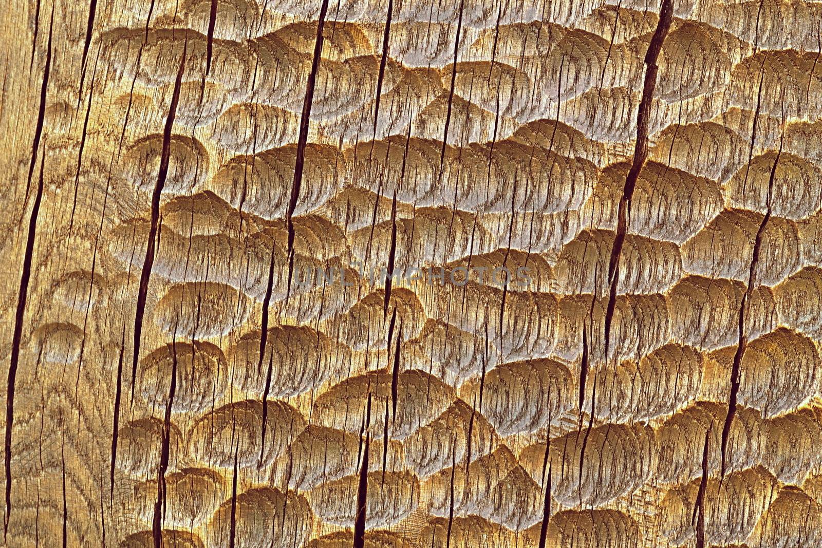 chiseling wood texture pattern by Ahojdoma