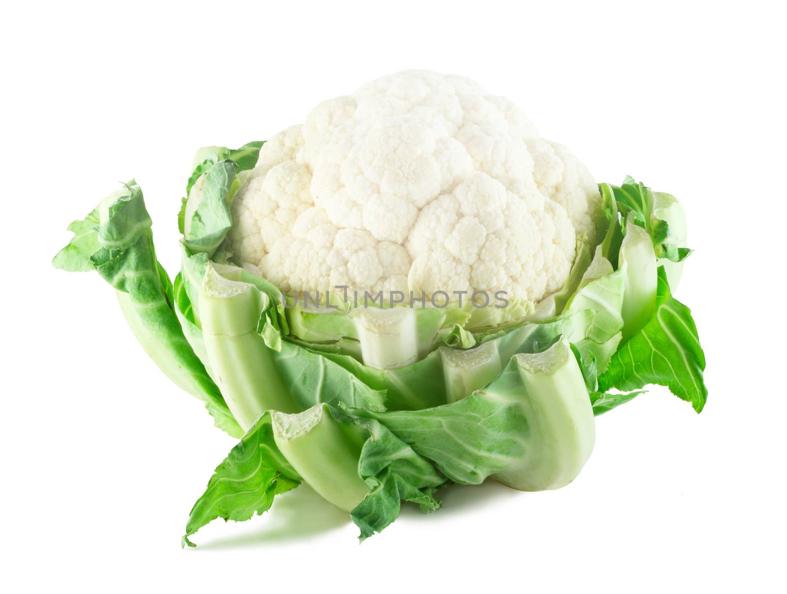 Fresh Cauliflower isolated on white background