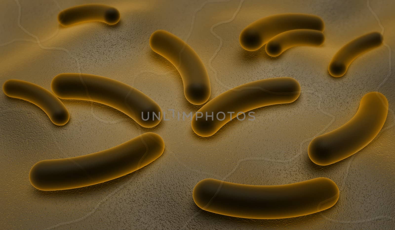 Digital illustration of E coli Bacteria in color background