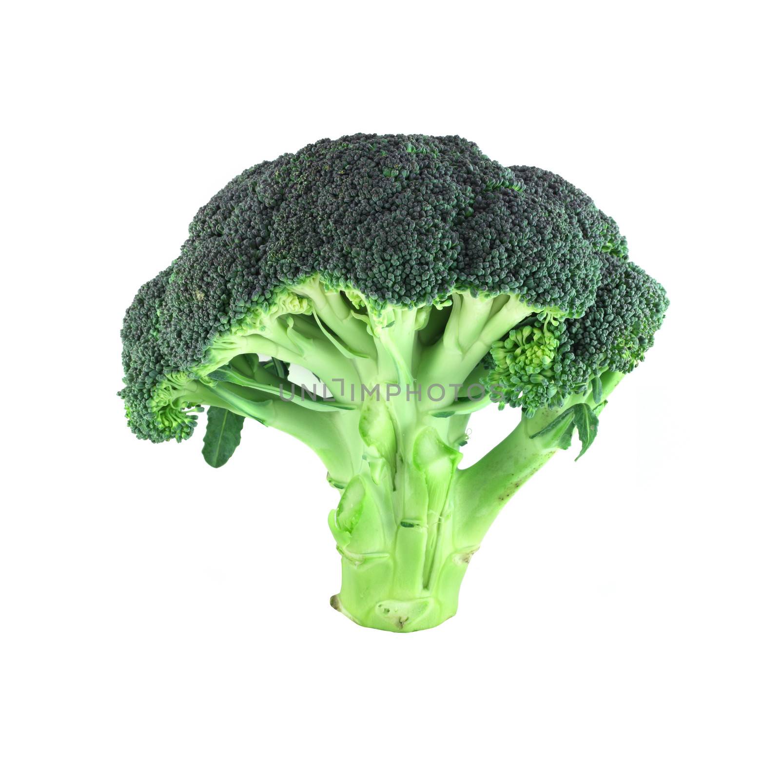 Broccoli on white by destillat