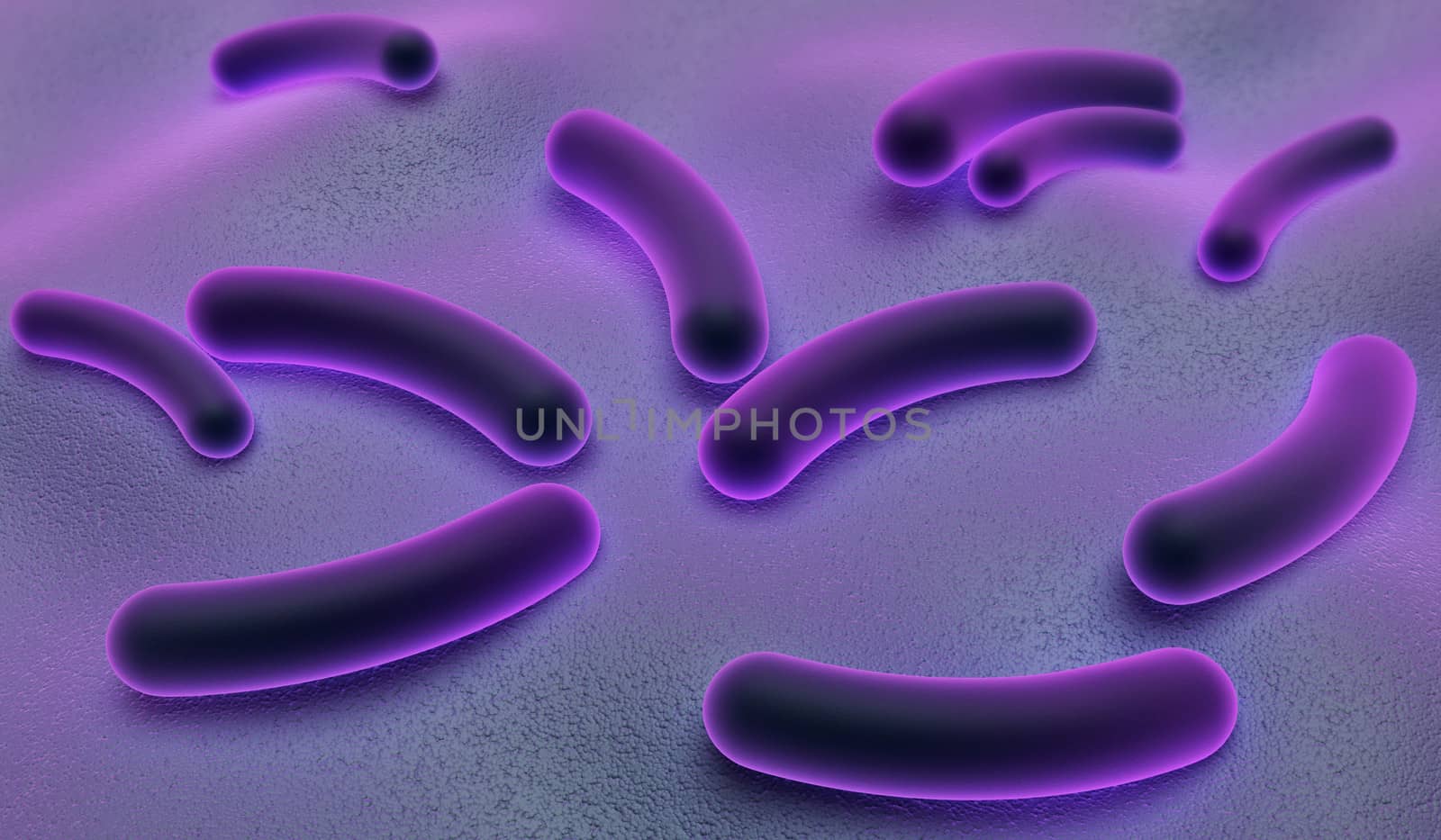 Digital illustration of E coli Bacteria in color background