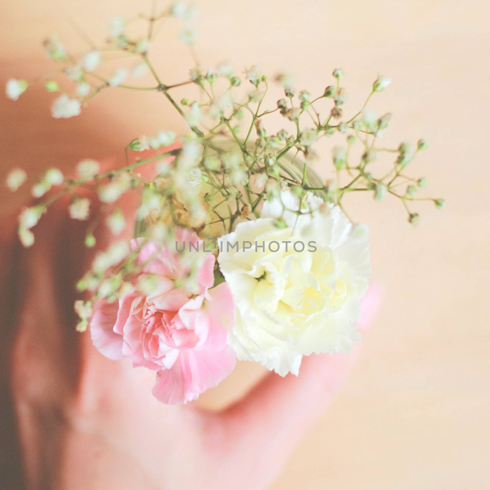 Woman hand holding flower with retro filter effect