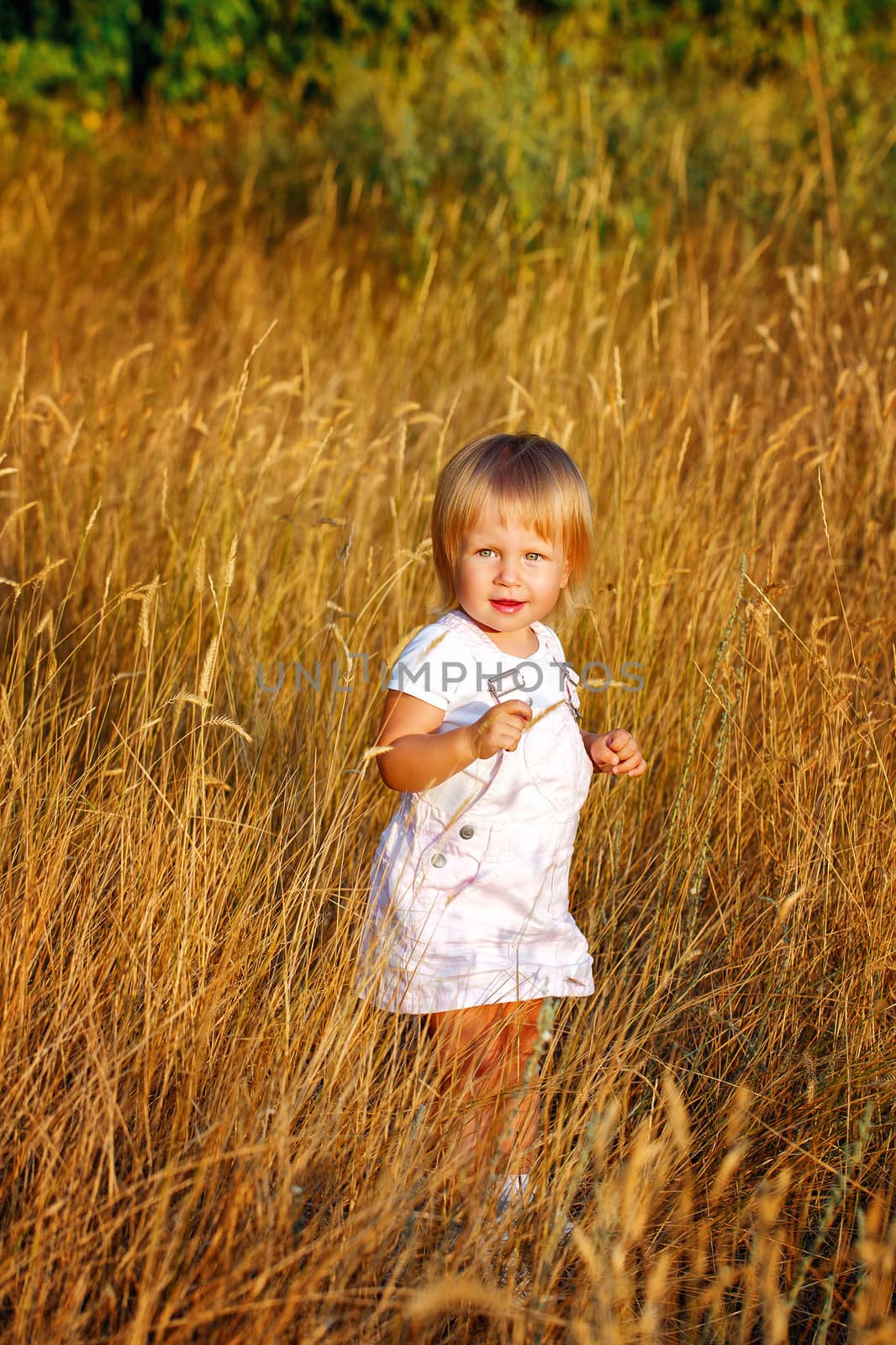 Blonde girl walking through the ears of wheat at sunset