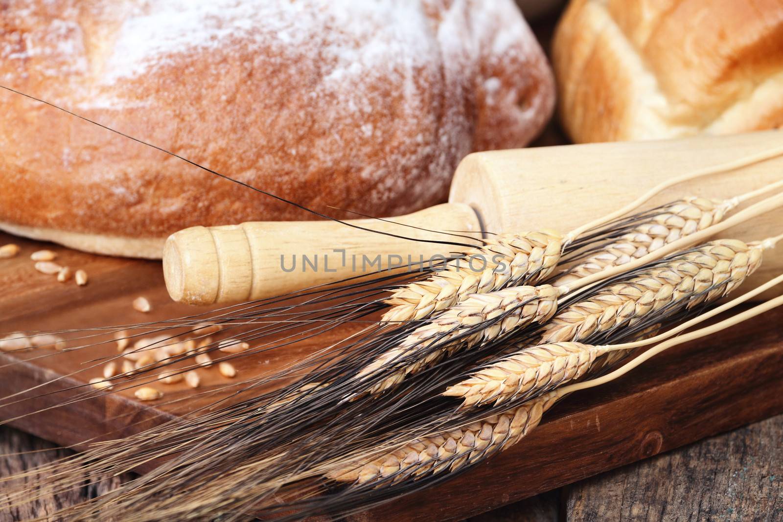 Wheat Grain by StephanieFrey