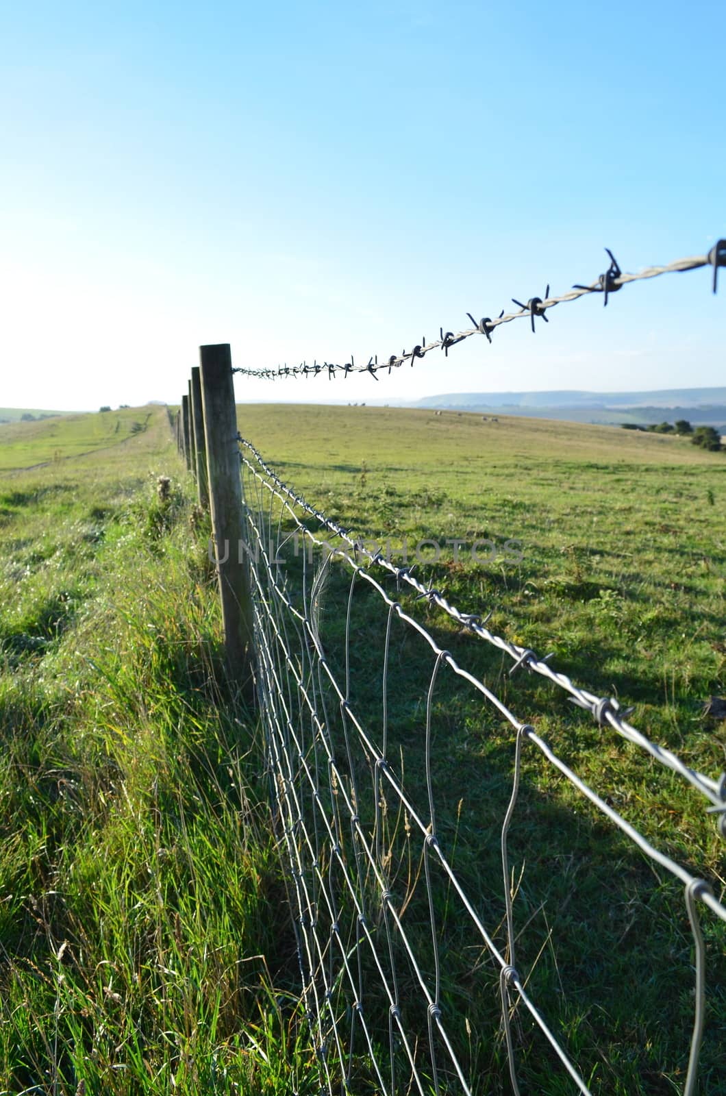 Barbed wire fence by bunsview