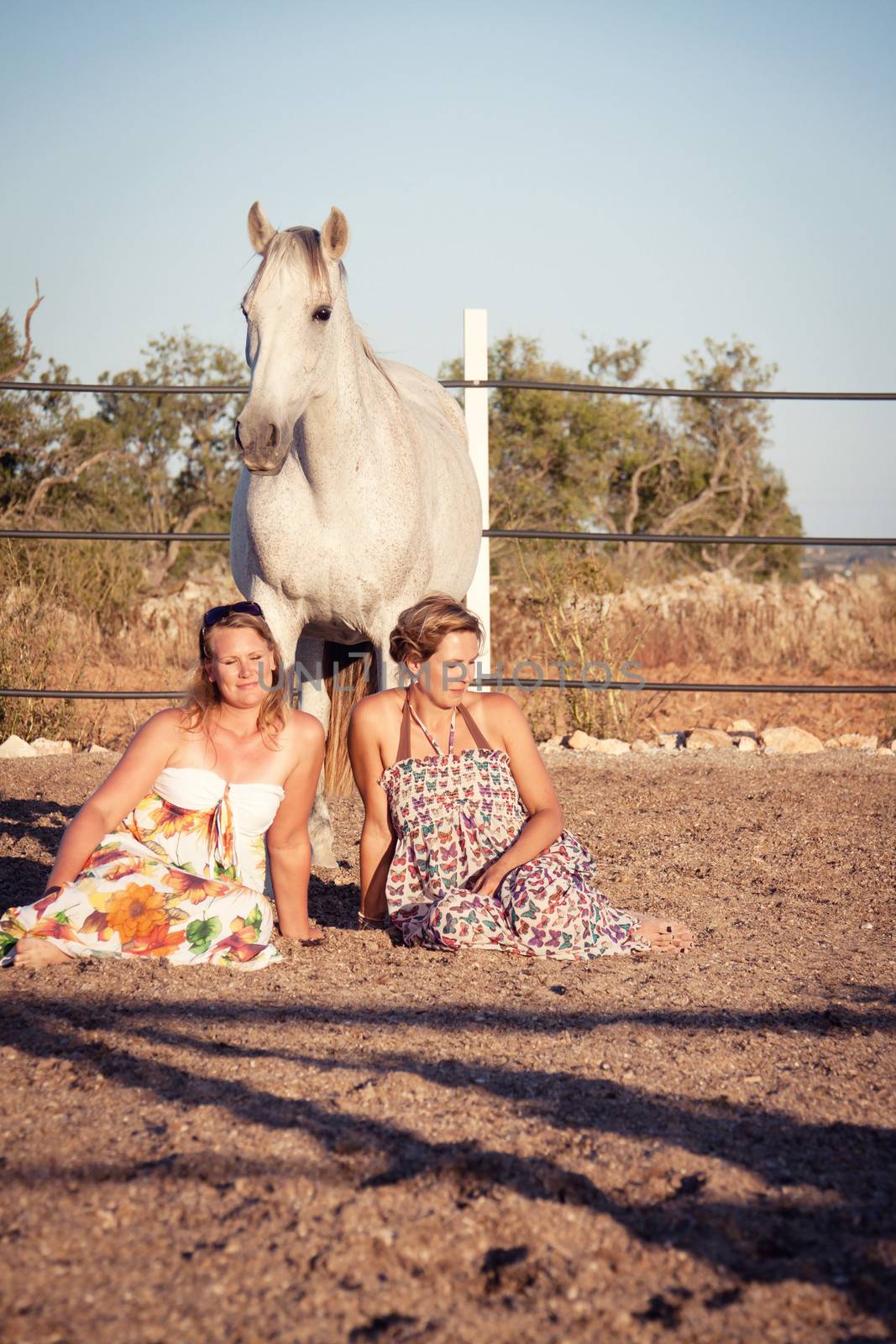 two woman horse and dog outdoor in summer happy by juniart