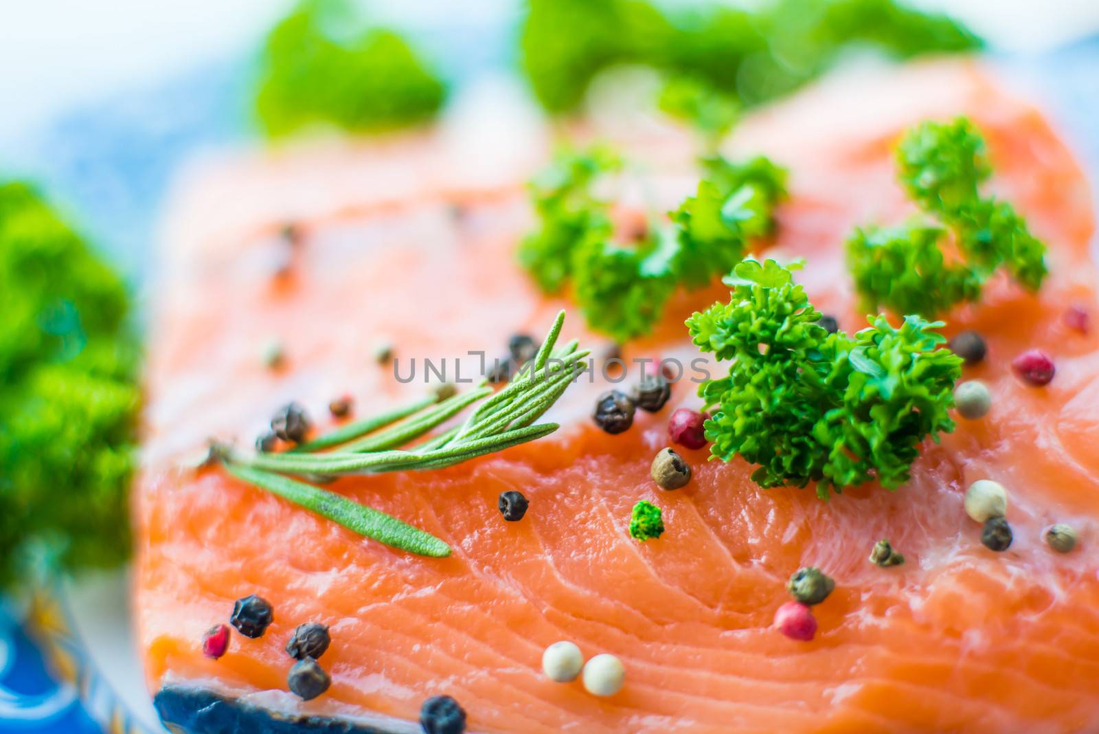 Fresh salmon fillet with rosemary, pepper and herbs