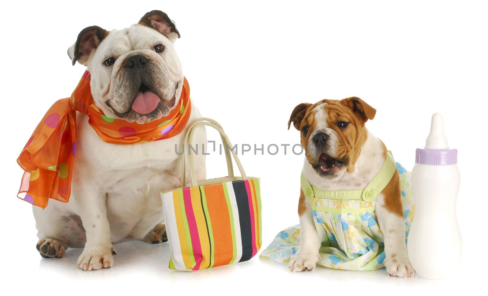 parenting - bulldog mother with puppy and baby bottle 