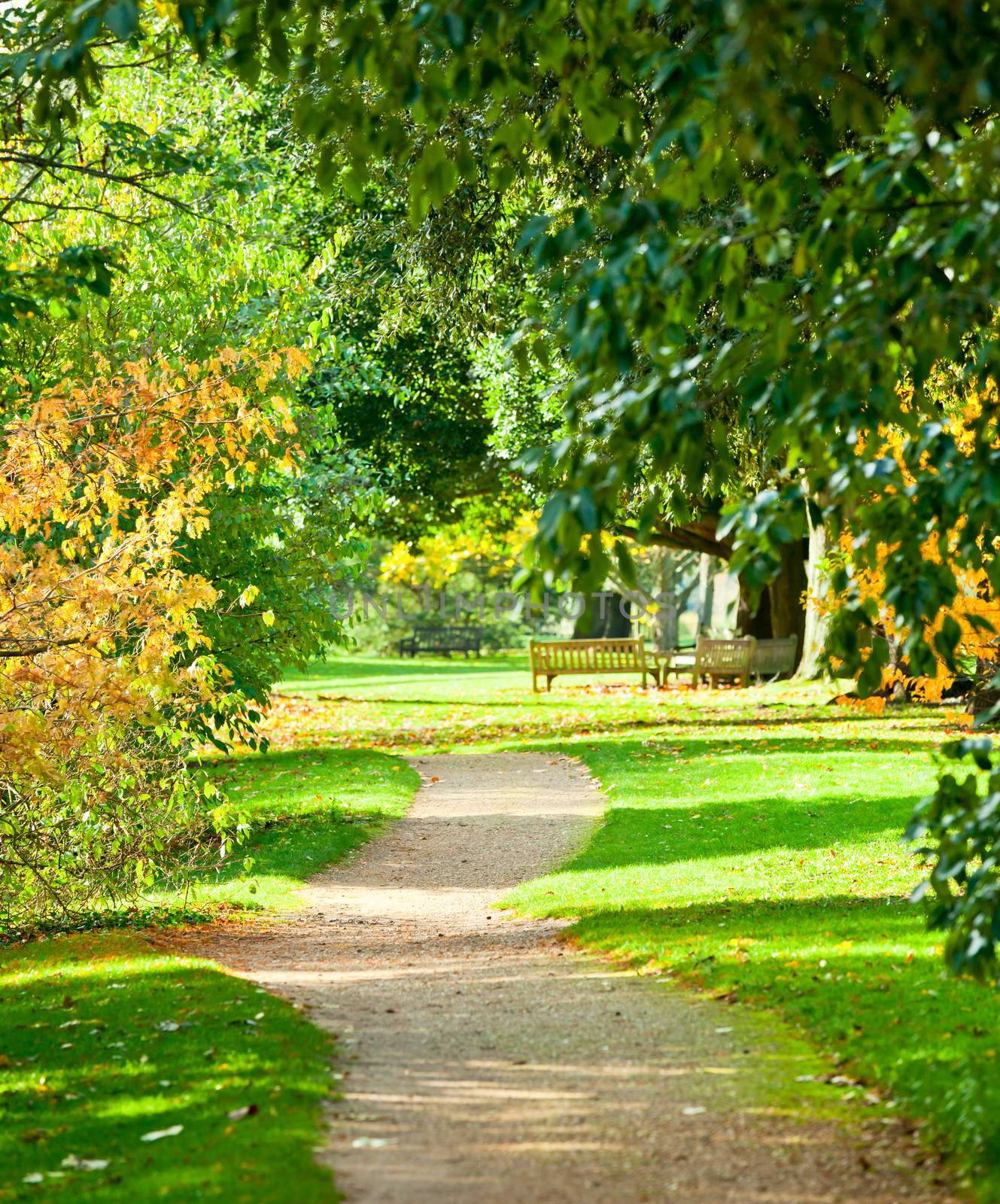 Footpath at the Royal Botanic Gardens in London