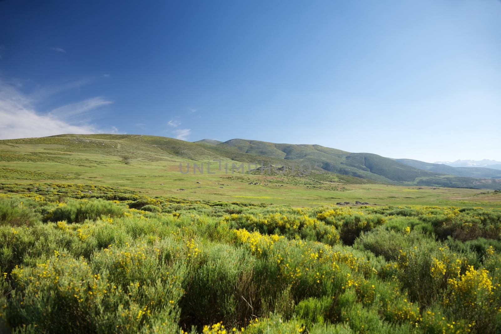 mountains at Gredos natural park in Avila Spain