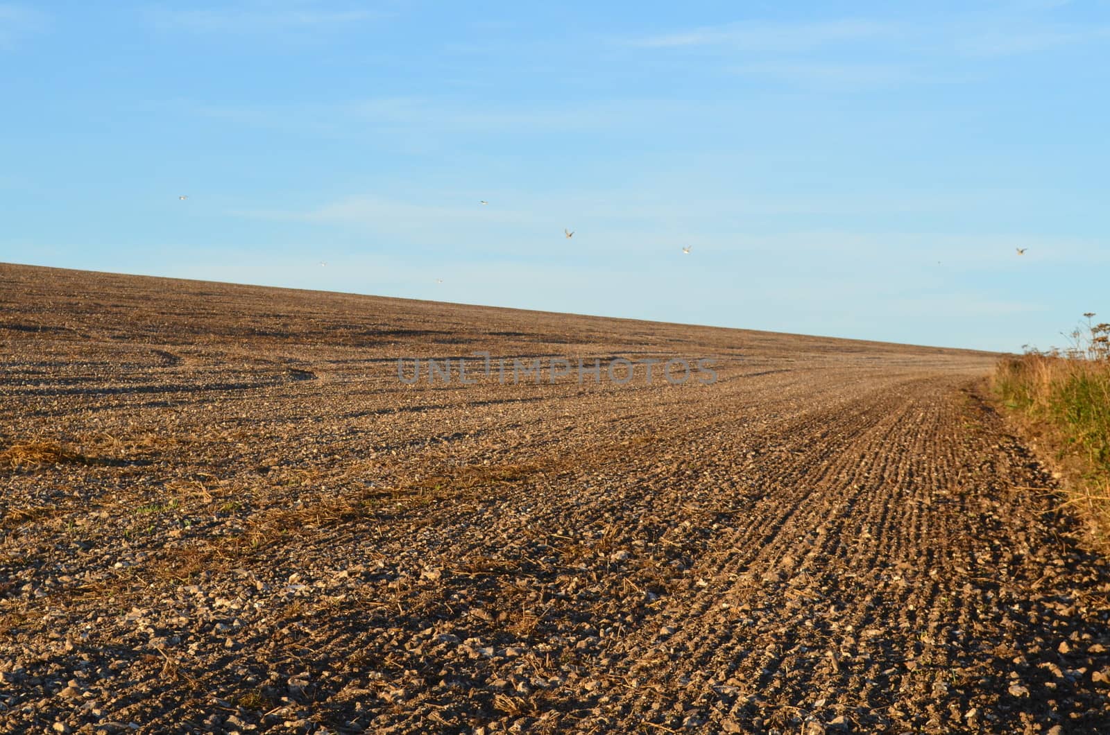 Ploughed farmers field in Sussex,England.Shot taken in Summer 2013.